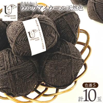 ふるさと納税 江南市 あみもねっと ウルグアイウール天然色 5番色 10玉セット