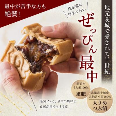 ふるさと納税 筑西市 もち入り「館最中」16個入 |  | 01