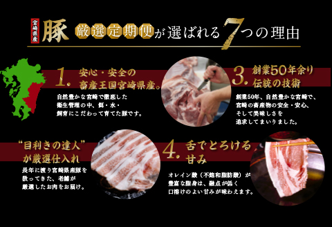 《期間・数量限定》厳選!宮崎県産豚 定期便 Sコース 《2024年3月から毎月お届け!》 全12回 |豚肉 豚 ぶた 肉 国産 バラブロック 切り落とし ロース しゃぶしゃぶ バラ 焼肉 ロースカツ