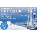 【ふるさと納税】IWANAI RESORT【Cat tour】ticket 1名様 キャットツアー スキー スノーボート スノボー ウインタースポーツ アウトドア リゾート F21H-356