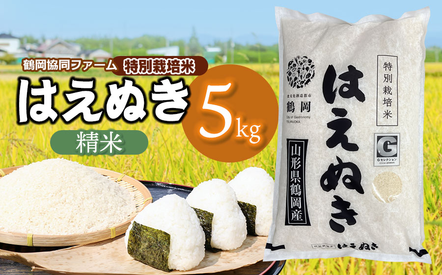 【令和7年産】【新米】 特別栽培米はえぬき　精米5kg　(5kg×1袋)　山形県鶴岡産　鶴岡協同ファーム