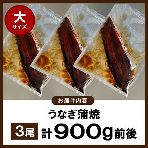 うなぎの蒲焼ビッグサイズ 3尾（計900g前後） _KP9306