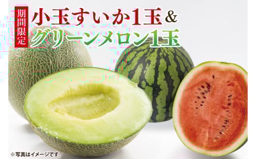 【先行予約】グリーンメロン1玉＆小玉西瓜1玉セット【山崎農園】（2025年5月下旬～6月下旬頃にお届け）【スイカ 1玉 すいか 西瓜 フルーツ 果物 くだもの 甘い おいしい メロン 茨城県 阿見町】（70-03-1）