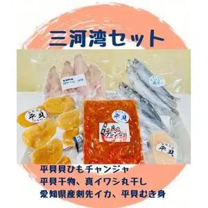 海神丸 三河湾 セット 5種 平貝 ( 貝ひも チャンジャ 干物  むき身 ) マイワシ 丸干し  ケンサキ イカ 冷凍 愛知県 南知多町 人気 おすすめ