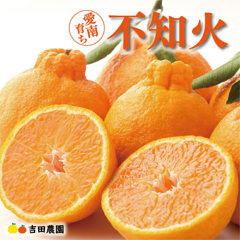 【ふるさと納税】 数量限定 先行予約 選べる 内容量 不知火 3kg 5kg 10kg みかん しらぬい デコポン と 同品種 mikan 蜜柑 ミカン 産地直送 国産 農家直送 期間限定 特産品 人気 甘い 果実 果肉 フルーツ 果物 柑橘 美味しい おいしい ジューシー 吉田農園 愛南町 愛媛県