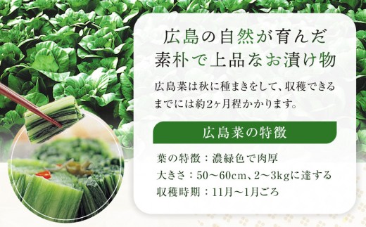 【山豊】広島菜の和パスタソース 4種 計6個（たらこ×2個、レモスコ®味×2個、ナポリタン×1個、ペペロンチーノ×1個）