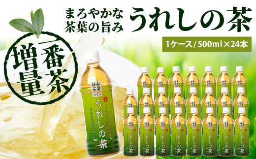 
                  うれしの茶 500mlペットボトル×24本入 箱買い  セット  お茶  飲料  緑茶  飲み切りサイズ  佐賀県 鹿島市 嬉野茶 ペットボトル  24本入り  500ｍｌ ギフト 贈り物 お中元 お歳暮 季節の変わり目 旬 B-664
                