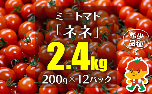 ミニトマト「ネネ」2.4kg（200g×12パック）