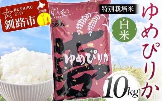 
                  【選べる発送月】【令和7年度産】【新米】特別栽培米ゆめぴりか 10kg 白米 北海道産 米 コメ こめ お米 白米 玄米 F4F-9246var
                