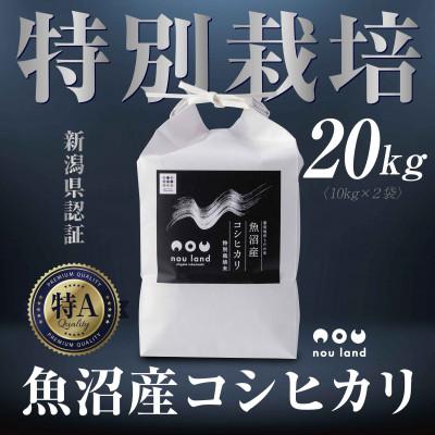 ふるさと納税 十日町市 【令和7年産 新米予約】 魚沼産 コシヒカリ 特別栽培米 10kg ×2袋 十日町市 のうランド