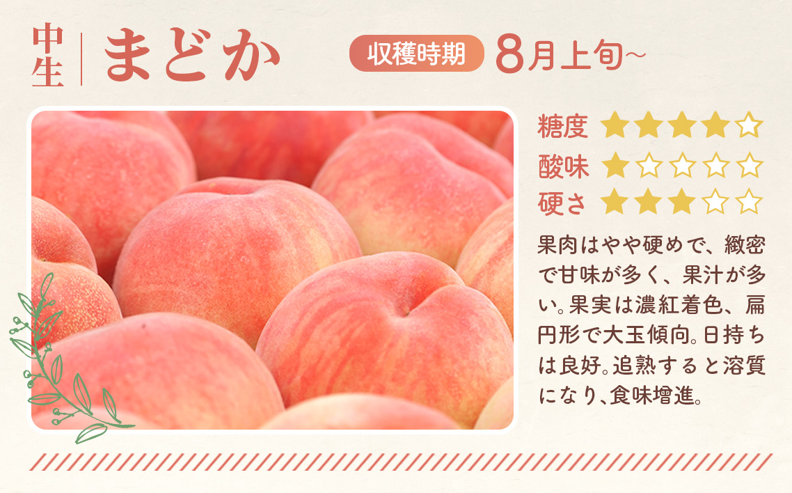 もも【まどか・2026年産先行受付】特秀3kg（9〜11玉）桑折町振興公社 No.183