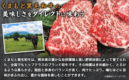 牛肉 くまもと黒毛和牛 しゃぶしゃぶ セット 300g 150g × 2《30日以内に出荷予定（土日祝除く）》 熊本県 阿蘇郡 産山村くまもと黒毛和牛 黒毛和牛 冷凍 しゃぶしゃぶ すき焼き 肩ロース