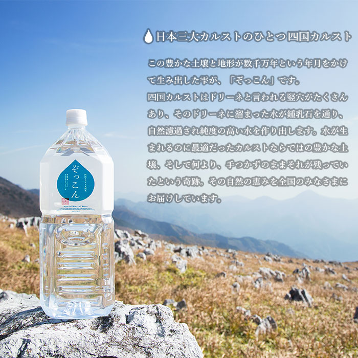 ＜四国カルスト天然水ぞっこん 2L×6本 計12L＞飲料 水 みず 中硬水 弱アルカリイオン水 ペットボトル ウォーター バナジウム 備蓄 防災 キャンプ アウトドア 国産 特産品 ぞっこん四国 愛媛