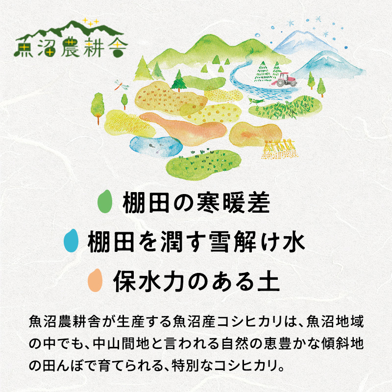 【令和7年産】有機JAS認証米 米農家自慢の 魚沼産 コシヒカリ玄米3kg×1袋 米 お米 こめ こしひかり 玄米 有機 新潟県 魚沼市 魚沼