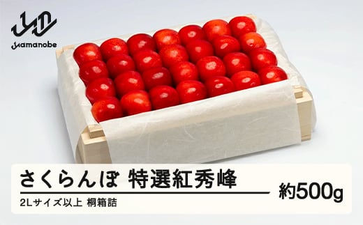 《先行予約》2026年 山形県産 特選紅秀峰 桐箱詰め 約500g やまのべ多田耕太郎のさくらんぼ サクランボ F20A-790
