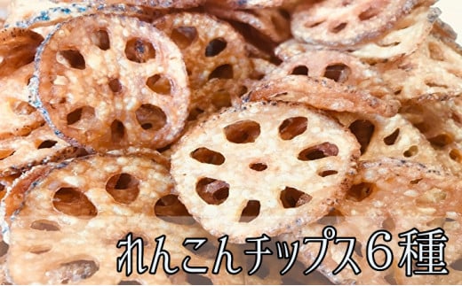 れんこんチップス 6種 詰め合わせ 各種40g | プレーン 塩 カレー コンソメ サワークリーム のり塩 _b-161