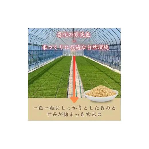 利根町産　コシヒカリ　玄米　10kg ／ 米 こめ コメ お米 おこめ コシヒカリ こしひかり 令和7年産 玄米 ごはん ご飯 10kg 健康志向 茨城県 利根町 産地直送 送料無料