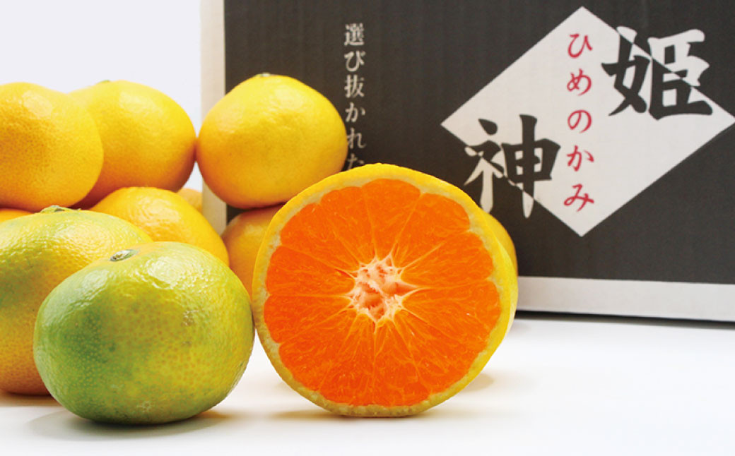 福岡県ブランドみかん「早味かん」5kg