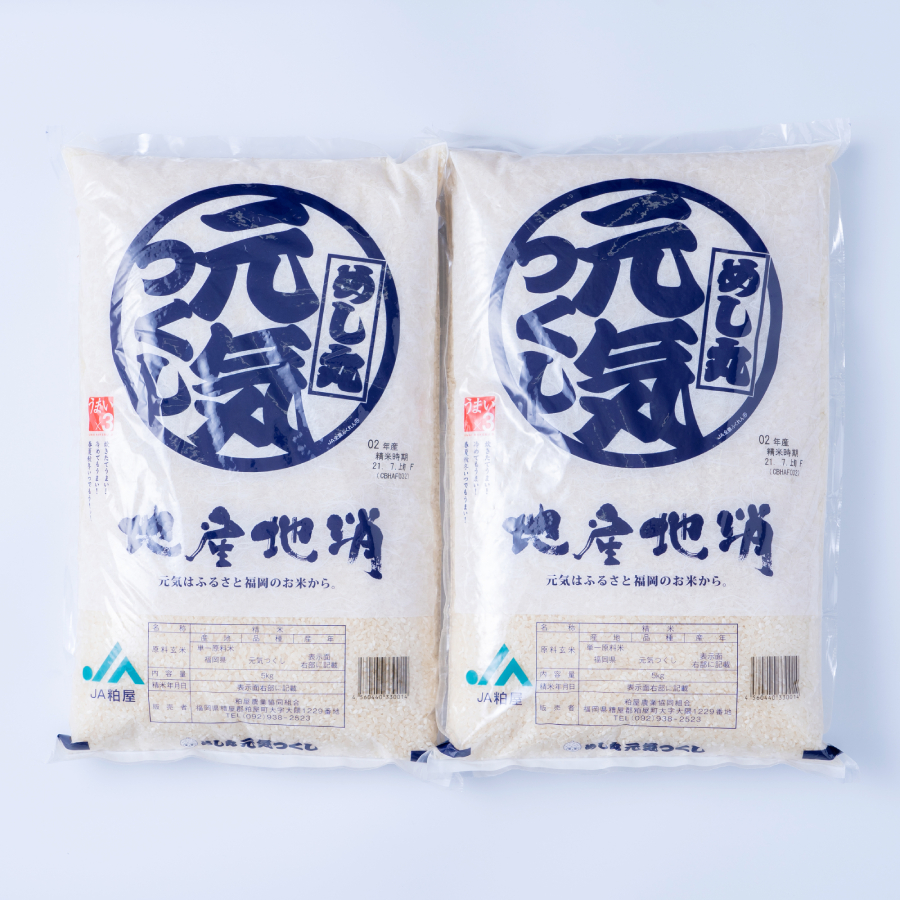 ＜岩田屋本店･南国フルーツ＞福岡のお米「元気つくし」10kg