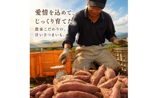 【予約受付中2027年12月上旬～順次発送】 三島甘藷 約 5kg 紅はるか 山北印 さつまいも さつま芋 産地直送 野菜 冬野菜 焼き芋 芋 やきいも ヤキイモ 人気 おやつ 上品な甘み 香り デザ