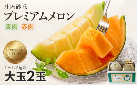 庄内砂丘プレミアムメロン 大玉 青肉メロン 赤肉メロン 各1玉 1.7kg以上 計2玉 3.4kg以上 2026年7月上旬～8月上旬頃お届け 贈り物 お取り寄せ 夏 果物 フルーツ メロン 青 赤 セ