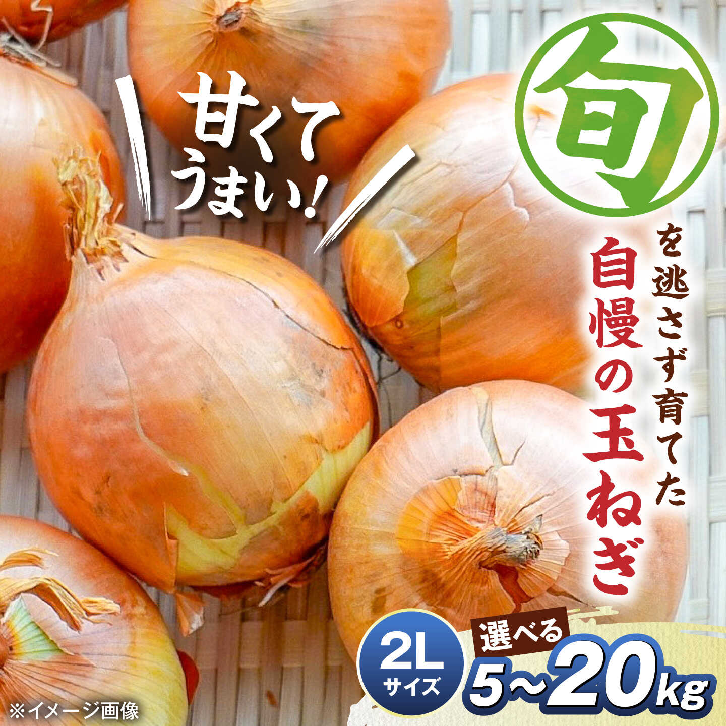 【ふるさと納税】玉ねぎ 2Lサイズ 選べる容量 5kg 10kg 20kg たまねぎ 玉葱 野菜 旬 オニオン 産地直送 人気 おすすめ 滋賀県長浜市/柏本農園株式会社[AQDZ008]