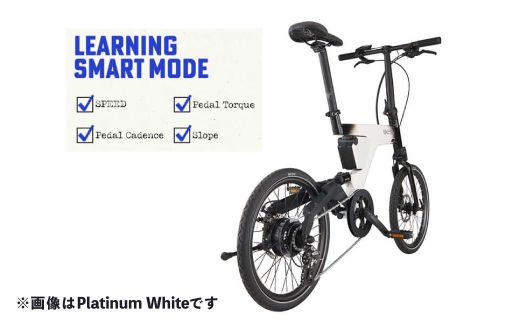Ebony Black（99.Y5B64.602）BESV PSF2折りたたみ電動アシスト自転車20インチミニベロ
