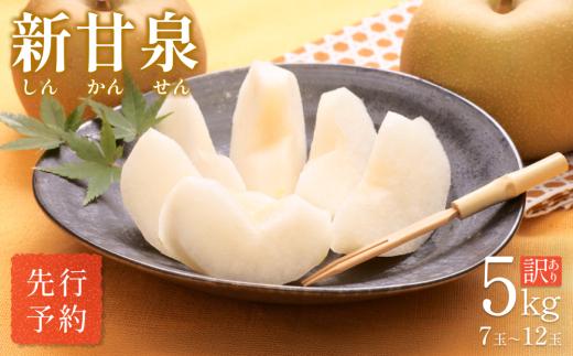 【先行予約】（訳あり）中野農園 梨 ”新甘泉” 5kg箱｜鳥取 岩美 梨 なし ナシ  赤梨 果物 フルーツ【41022】