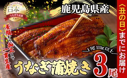 【丑の日までに配送】桜林養鰻のうなぎ蒲焼 計333g以上(111g以上×3尾) b0-175-us