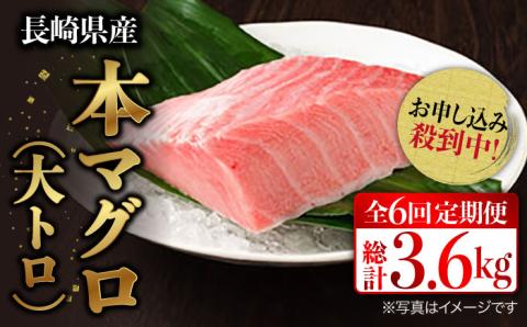 【先行予約】【全6回定期便 (月1回) 】長崎県産 本マグロ 大トロ皮付き 約600g 【大村湾漁業協同組合】 [BAK029] / マグロ まぐろ大トロ 大とろ 刺身