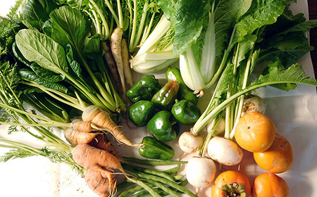 【有機野菜の定期便3ヶ月】ガバレ農場の季節の有機野菜詰め合わせセット No.527