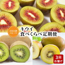 【ふるさと納税】【さぬき讃フルーツ】キウイ食べくらべ定期便（3回） 53000円 秋 旬