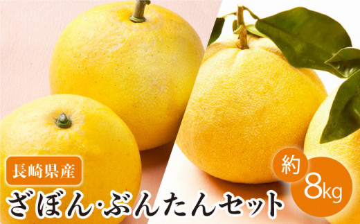 【数量限定】長崎ざぼん&ぶんたん セット 約8kg / ミカン 柑橘 みかん 果物  フルーツ みかん ザボン 朱欒 文旦 ブンタン【長崎ぶんたんの会 】[OAF008]