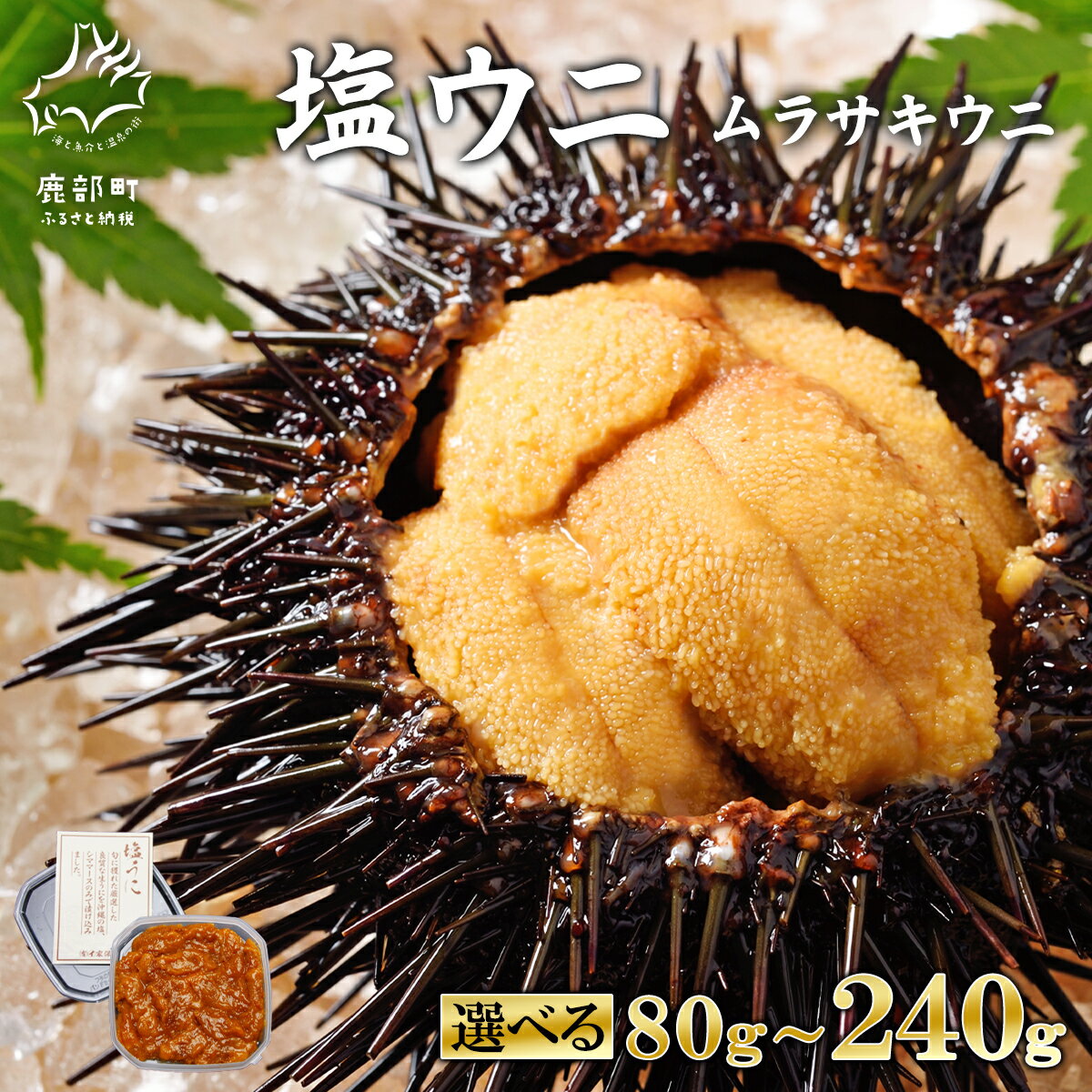 【ふるさと納税】【選べる内容量】ウニ ムラサキウニ 80g～240g 北海道産 塩ウニ 塩蔵うに ミョウバン不使用 ごはんのお供 うに丼 海鮮丼 パスタ おにぎり 珍味 魚介 冷凍 送料無料