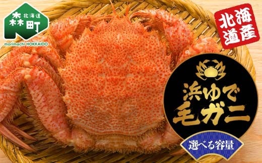 
            選べる容量 【北海道産】 浜ゆで毛ガニ 570g~1kg かに カニ 蟹 ガニ がに 森町 ふるさと納税 北海道 毛蟹 毛かに 毛ガニ 毛カニ mr1-1061
          