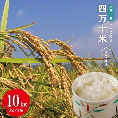 ふるさと納税 四万十市 【令和7年産】四万十産 四万十米(コシヒカリ)10kg(5kg×2袋)R7