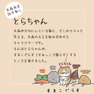 とらちゃんTシャツ×1枚（Lサイズ）【05124】