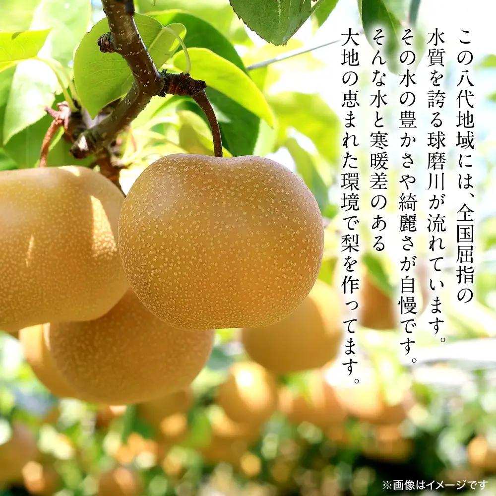 【先行予約】 新高梨 約5kg (5～20玉)  梨 なし ナシ フルーツ くだもの 果物 旬 熊本県 八代市 【2026年9月中旬より順次発送】