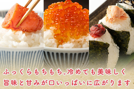 《定期便2ヶ月》あきたこまち【無洗米】3kg 秋田県産 令和7年産 こまちライン