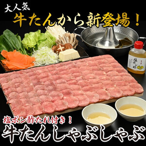 【やまなか家】牛たんしゃぶしゃぶ400g（塩ポン酢付）（K6-039） 岩手県 北上市 D0325 （KYフーズ） 肉 牛肉 牛たん 牛タン 牛ﾀﾝ しゃぶしゃぶ ポン酢 肉 牛肉 牛たん 牛タン 牛