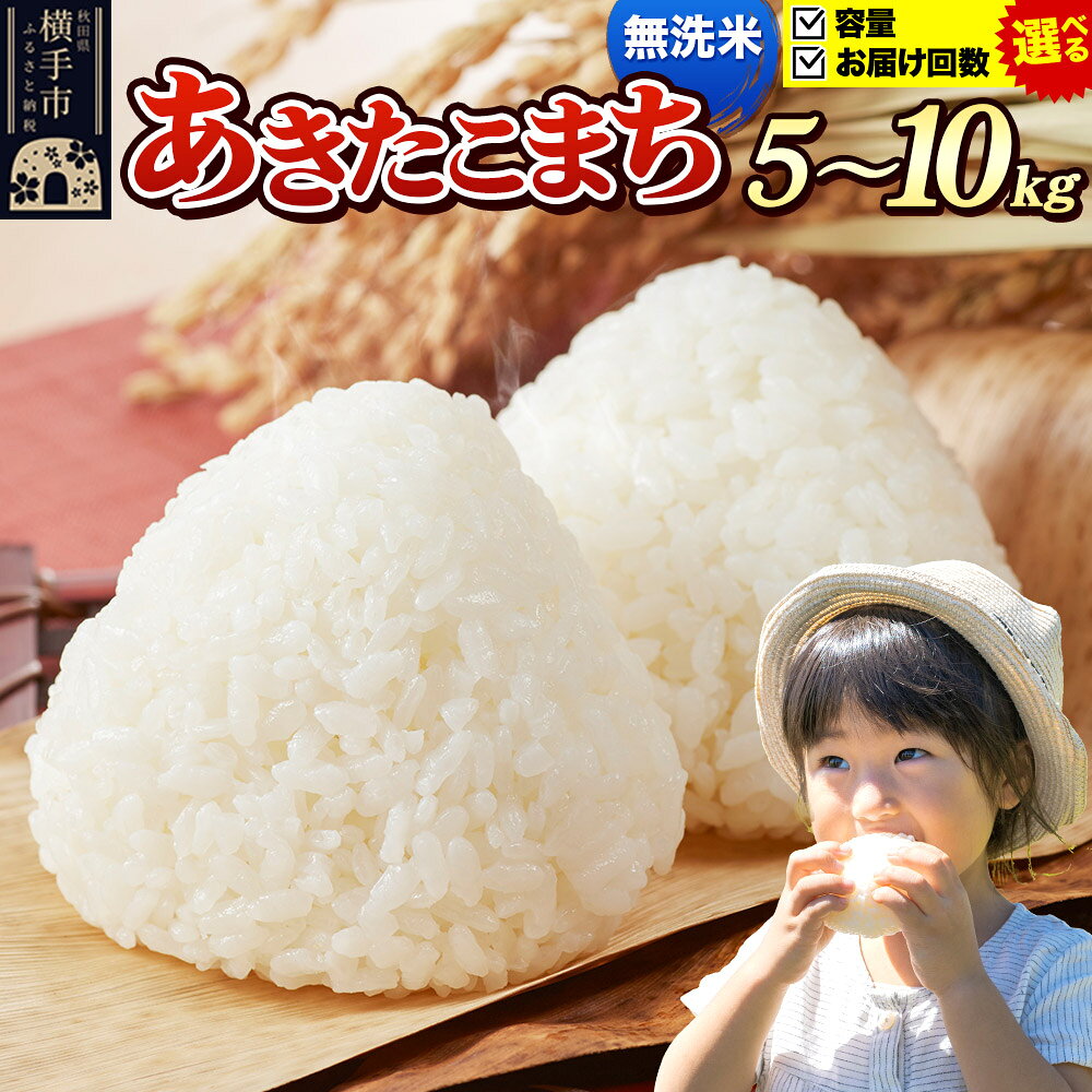 【ふるさと納税】《令和7年産》《選べる容量×お届け回数》 米 あきたこまち 5kg・10kg（5kg小分け袋） 【無洗米】 秋田県産