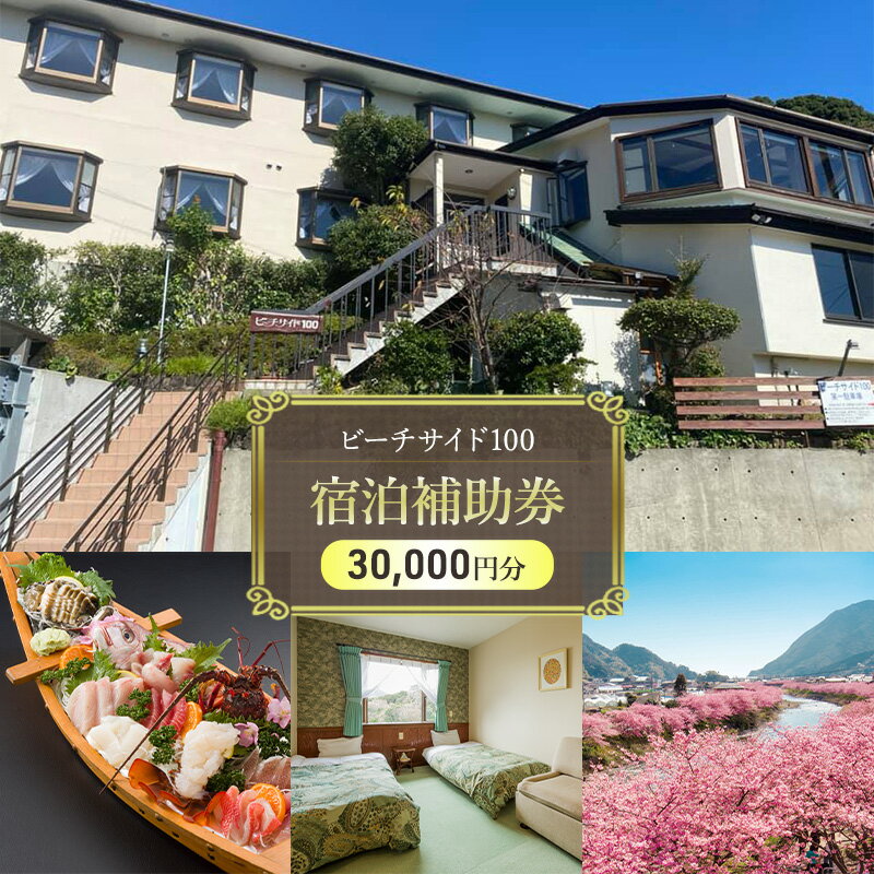 【ふるさと納税】宿泊補助券 貸し切り温泉 30000円分 オーシャンビュー 宿泊券 旅行 観光 国内旅行 家族旅行 カップル 海水浴 河津桜 温泉旅行 ビーチサイド100 静岡県河津町　温泉旅行