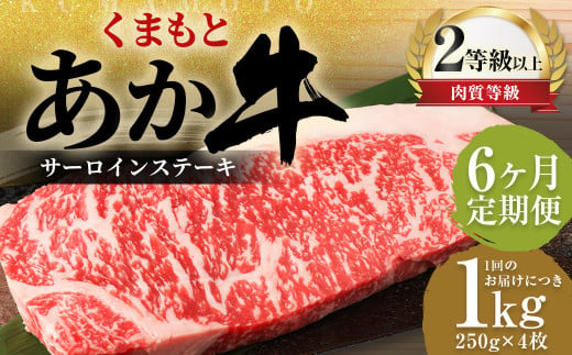 【6ヶ月定期便】 くまもと あか牛 サーロイン 1.0kg（250g×4枚） 牛肉 牛 肉