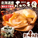 【ふるさと納税】【 数量限定 】 殻付き ホッキ貝 約4kg 約17～23個 獲れたて直送 / ホッキ 北寄 ほっき貝 北寄貝 貝 魚介類 魚貝類 海鮮 北海道産 道産 新鮮 活魚 産地直送 生 国産 とよとみ 北海道 豊富町