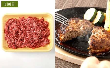 【3ヶ月定期便】 出荷数0.02％の奇跡 土佐あかうし 日常使い プチ 贅沢 Bセット （土佐あかうし 和牛 ミンチ 約300g ×2、 土佐あかうし和牛 スジ 約400g ×2、土佐あかうし和牛 コ