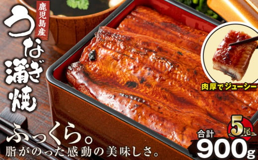 2448 鹿児島産うなぎ180g×5尾 合計900g