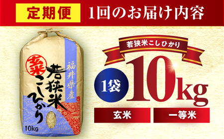 【12回定期便】 福井県産 コシヒカリ 玄米 10kg 一等級 /甘みと粘りが自慢 王道米 こしひかり 小浜市 / 若狭ふれいあい市場[BFEL017]