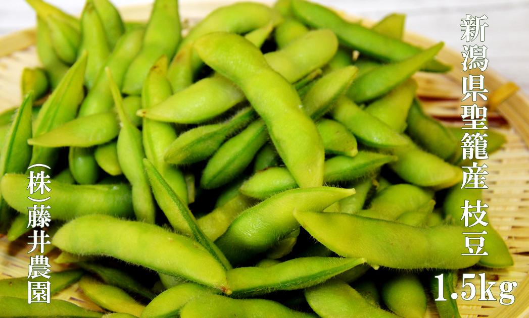 
            新潟県聖籠産 枝豆 1.5kg ［藤井農園］
          