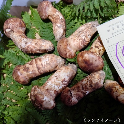 【和歌山産】～香りそのまま真空パック～高級・希少 高野松茸　200g(訳有品詰合せ)【配送不可地域：離島・北海道・沖縄県】