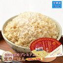 【ふるさと納税】 定期便6ヶ月 玄米ごはん120g×12個 パックごはん パックご飯 ご飯パック パック米 パックライス レトルトご飯 防災 金のいぶきプレミアム玄米ごはん 120g 金のいぶきプレミアム 金のいぶき 玄米ごはん 大阪府 松原市